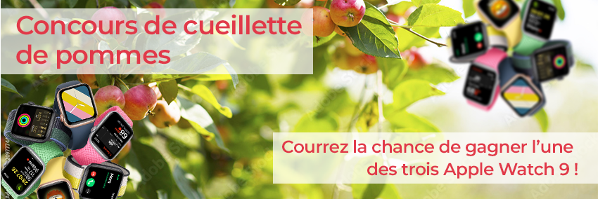 Concours de cueillette de pommes